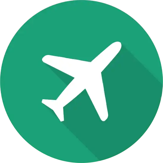 Flight info icon